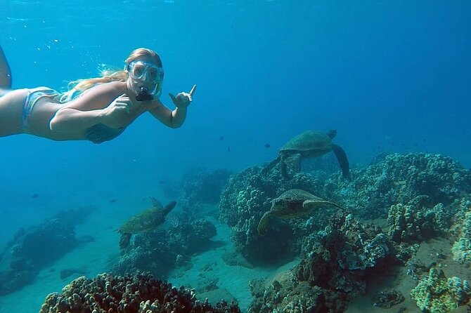 San Juan Guided Snorkel With Turtles Tour and Videos - Key points to know before booking