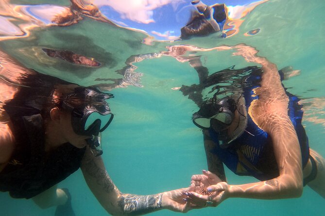 San Juan Guided Snorkel With Turtles Tour and Videos - Escambron Beach: an easy start near San Juan