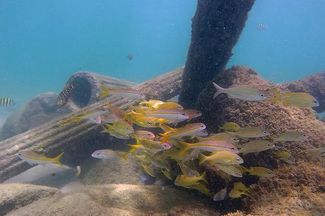 San Juan Guided Snorkel With Turtles Tour and Videos - How to prepare for the beach meeting point
