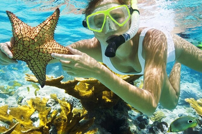 San Juan Guided Snorkeling Experience - With Transport 8am or 3pm - Key points to know before booking