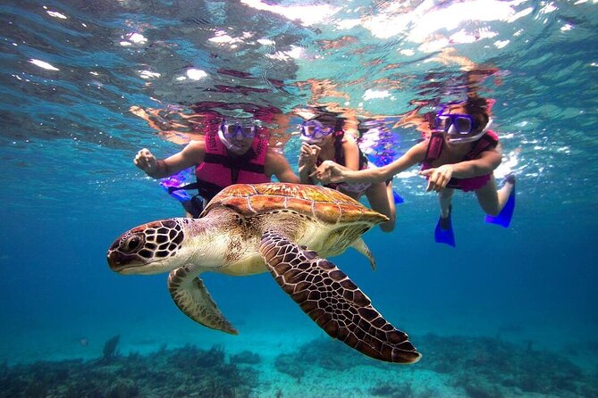San Juan Guided Snorkeling Experience - With Transport 8am or 3pm - The first 5 to 10 minutes are the most important
