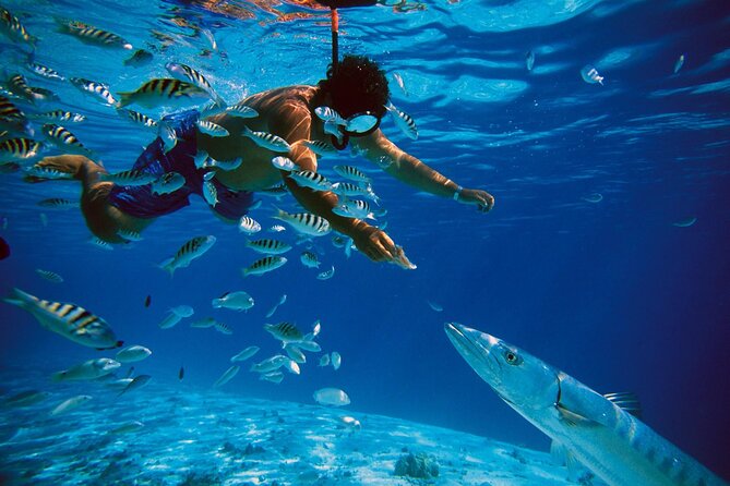 San Juan Guided Snorkeling Experience - With Transport 8am or 3pm - The 8 a.m. and 3 p.m. choices