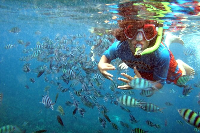 San Juan Guided Snorkeling Experience - With Transport 8am or 3pm - Who will enjoy this most?