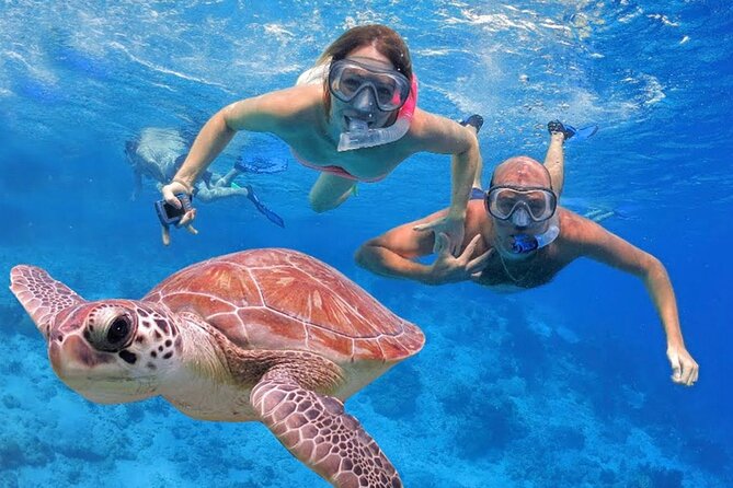 San Juan Guided Snorkeling Experience - With Transport 8am or 3pm - What to bring and how to prepare