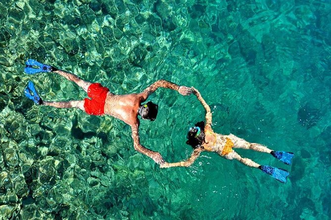 San Juan Guided Snorkeling Experience - With Transport 8am or 3pm - Ninety minutes of snorkeling, with no boat involved
