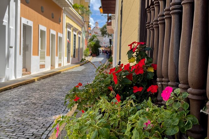 San Juan Highlights Driving Tour - Group size, timing, and the pace of the day