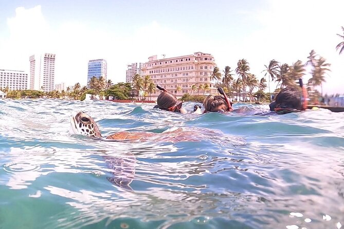 San Juan: Kids and Family Snorkeling Adventure with Videos - Is $45 a fair price?