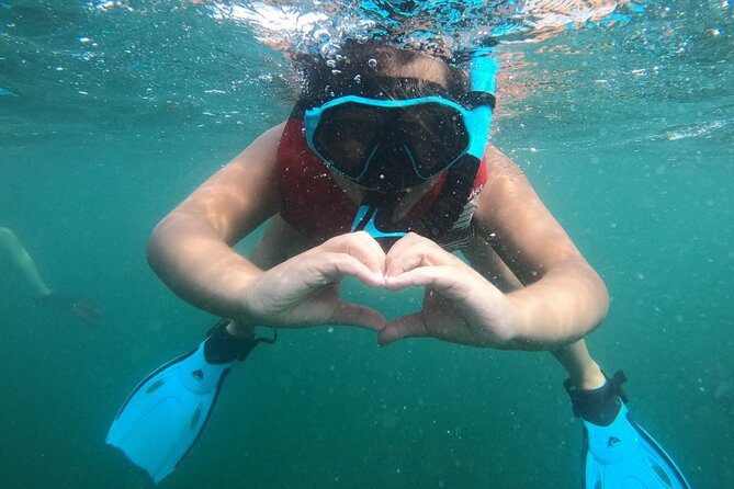 San Juan: Kids and Family Snorkeling Adventure with Videos - Water conditions can change the experience
