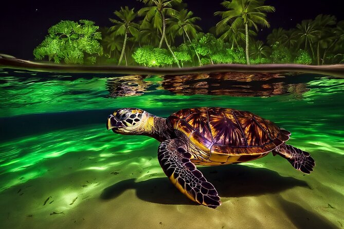 San Juan LED Night Snorkel - Key points to know before booking