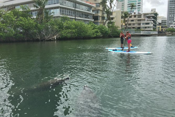 San Juan | Paddleboard | Kayak | Snorkeling | Guided Tours - The guide makes the largest difference