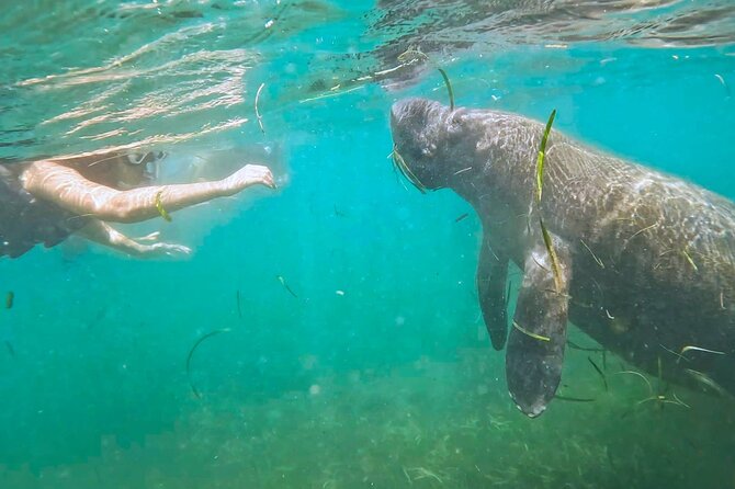 San Juan Snorkel with Turtles and Manatee's; Free Video and Rum! - Key points to know before booking