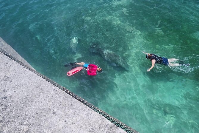 San Juan Snorkel with Turtles and Manatee's; Free Video and Rum! - Starting at Playita del Condado