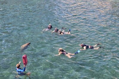 San Juan Snorkel with Turtles and Manatee’s; Free Video and Rum!
