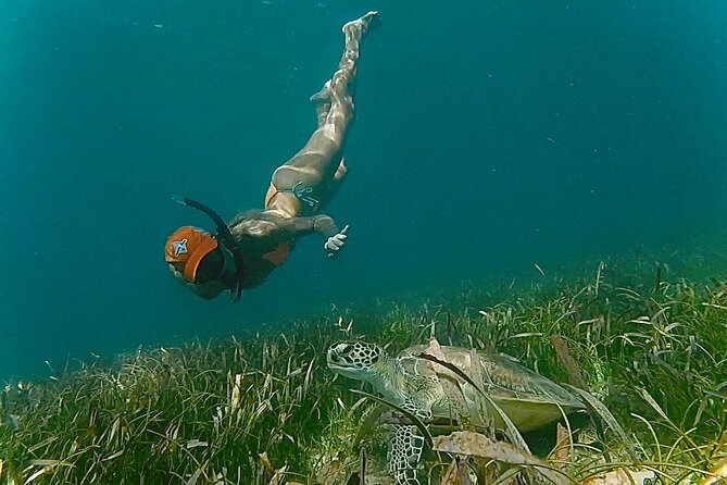 San Juan Snorkel with Turtles and Manatee's; Free Video and Rum! - The wildlife video and rum tasting