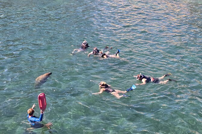 San Juan Snorkel with Turtles and Manatee's; Free Video and Rum! - Following the guide through the protected cove