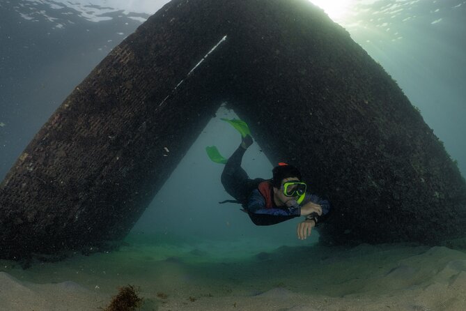 San Juan Snorkeling Tour with Fish and Turtles - FAQ