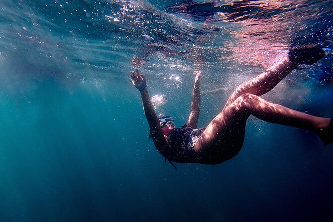 San Juan: Snorkeling with Turtles Adventure and Free Videos - What the 90-minute shore adventure feels like