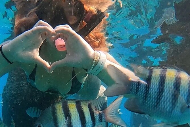 San Juan: Snorkeling with Turtles Adventure and Free Videos - Why the guides make such a difference