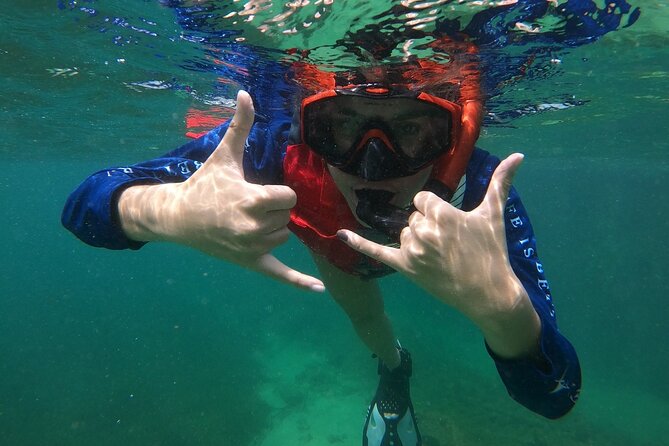 San Juan: Snorkeling with Turtles Adventure and Free Videos - Equipment, videos, and what the $45 price covers