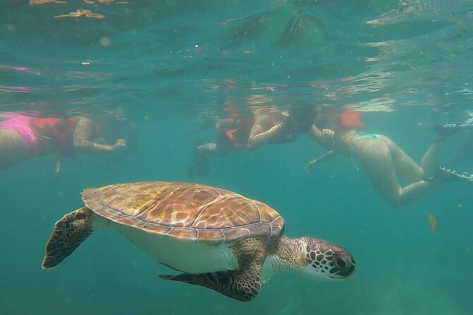 San Juan: Snorkeling with Turtles Adventure and Free Videos - Meeting point, timing, and the small details that matter