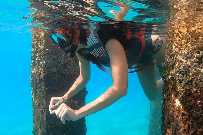 San Juan: Snorkeling with Turtles Adventure and Free Videos - Who should book it, and who should choose something else