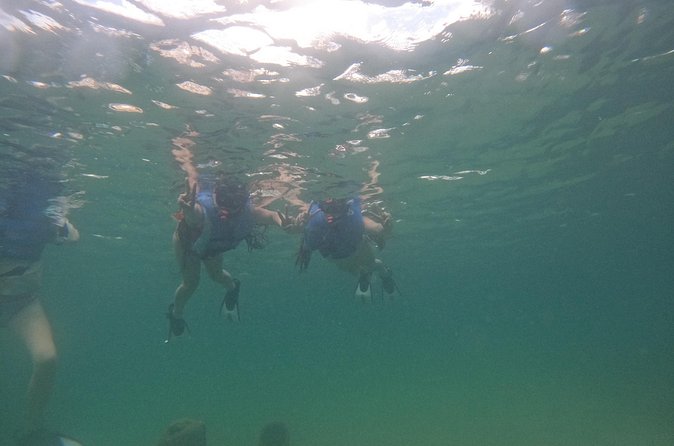 San Juan Turtle Spotting Snorkel Adventure with Videos - The guides make the difference