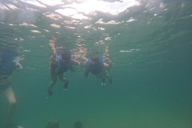 San Juan Turtle Spotting Snorkel Adventure with Videos - Weather and water clarity can change your day