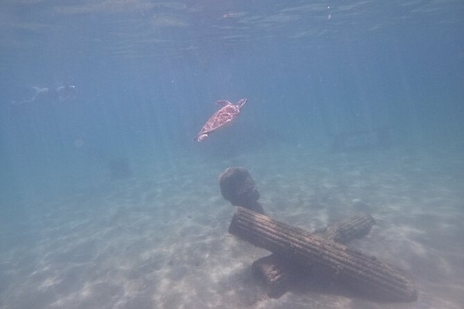 San Juan Turtle Spotting Snorkel Adventure with Videos - Meeting at Batería del Escambrón