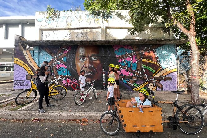 San Juan Urban Art Bike Tour 2 Hour and 4 Hour Options - What the private format adds