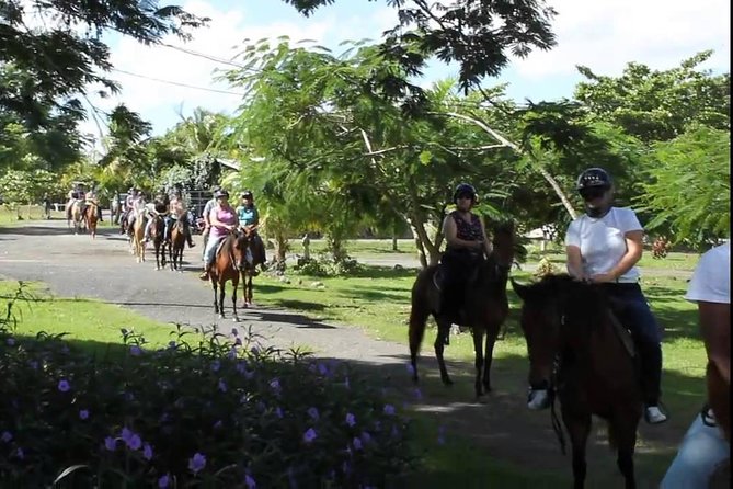Scenic Horseback Riding Tour from San Juan - Why the guides make such a difference