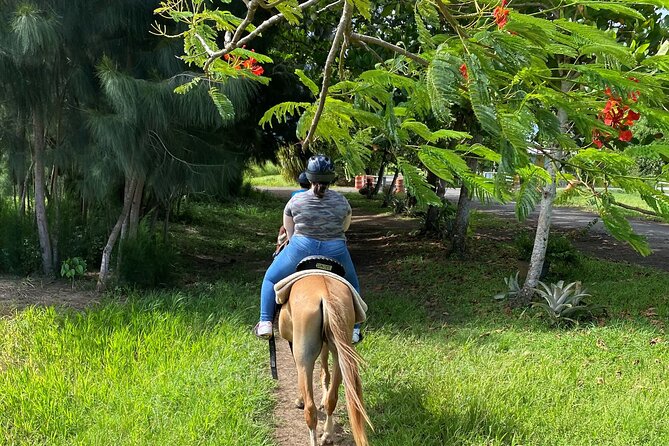 Scenic Horseback Riding Tour from San Juan - The scenery break and the animal life