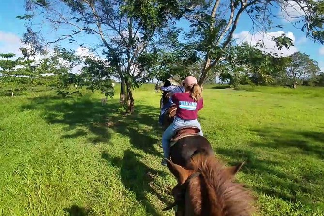 Scenic Horseback Riding Tour from San Juan - The 240-pound limit deserves careful attention