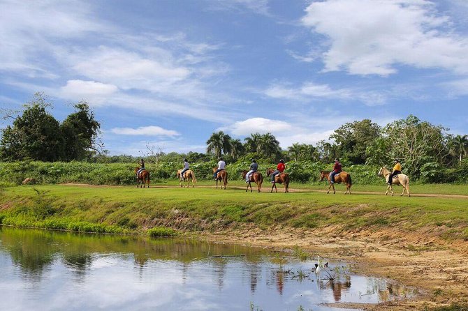Scenic Horseback Riding Tour from San Juan - Heat, mud, soreness, and what to wear