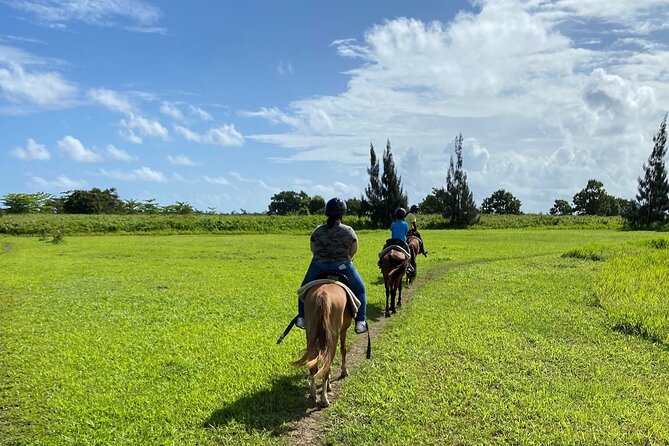 Scenic Horseback Riding Tour from San Juan - Riding through Hacienda Campo Rico