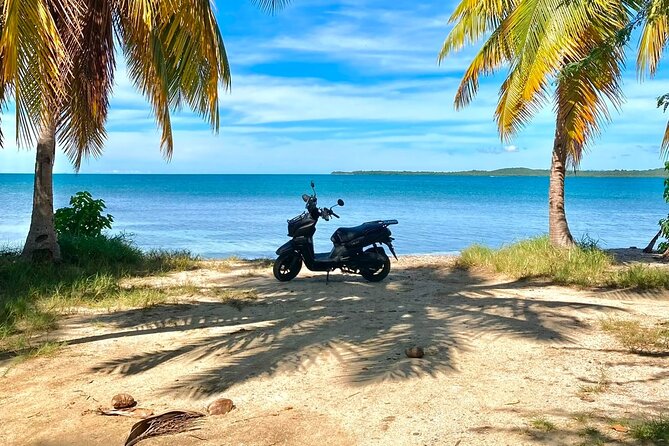 Scooter Rental San Juan Puerto Rico - A quieter shoreline at Playa Vacía Talega