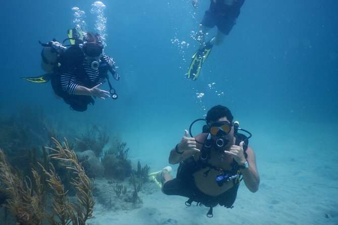 Scuba Dive and Snorkel Private Charter in Puerto Rico - Key points at a glance