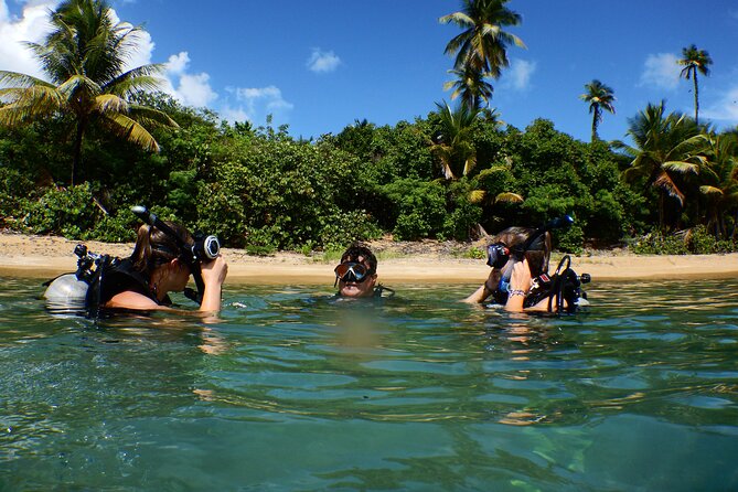 Scuba Dive and Snorkel Private Charter in Puerto Rico - Why this Ceiba charter works for mixed groups