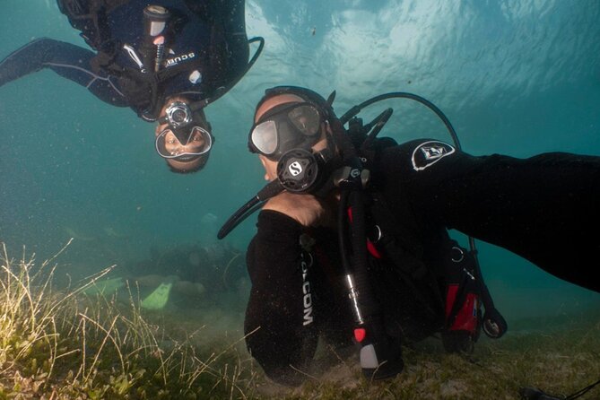 Scuba Tour for Certified Divers in San Juan - A shallow urban reef in the middle of San Juan