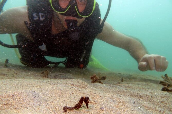 Scuba Tour for Certified Divers in San Juan - What the $91 price includes