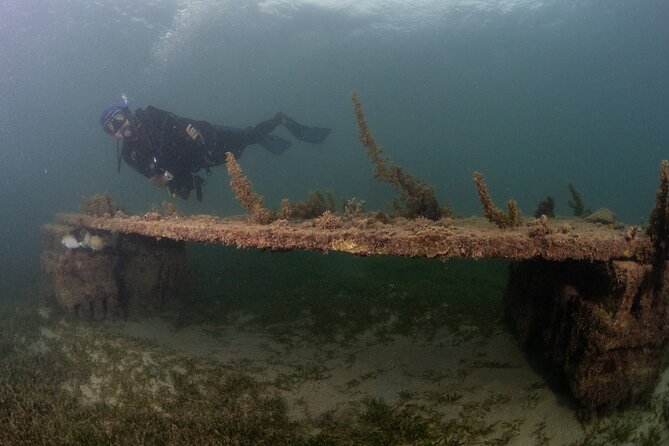 Scuba Tour for Certified Divers in San Juan - The shore-based format: useful, with a few limits