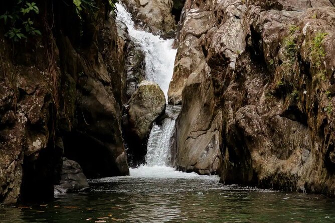 Self-Drive Half-Day Waterslide Yunque Tour - What the guides add to the experience