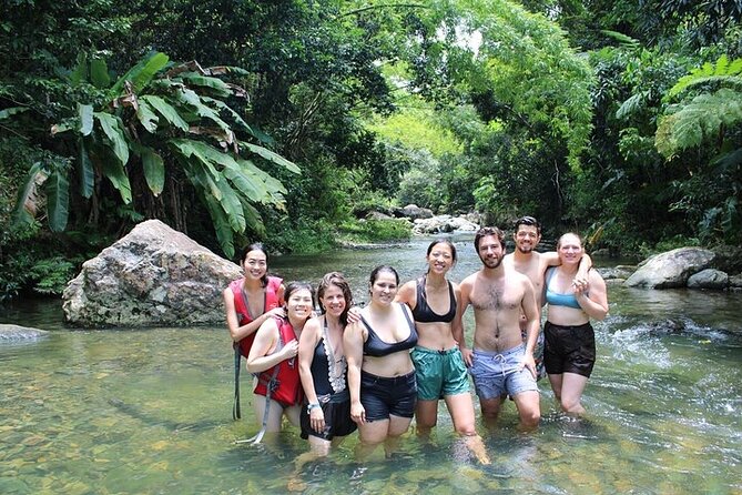 Self-Drive Half-Day Waterslide Yunque Tour - Hiking into the rainforest