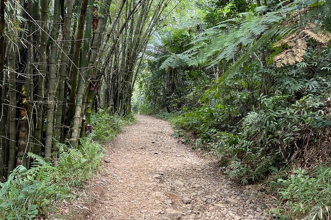 Small Group El Yunque Half Day Tour with Transport: Waterslide - Transport, equipment, and what to carry