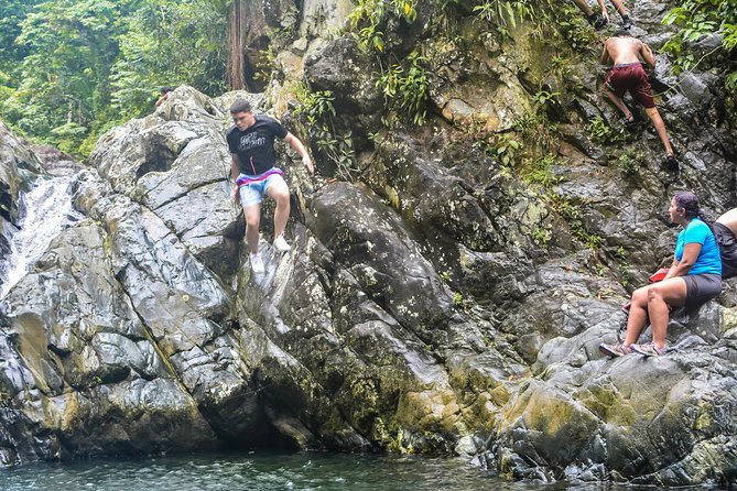 Small-Group El Yunque Rainforest Vivid Day Tour with Transport - The First Pool: A Quiet Pause Before The Action