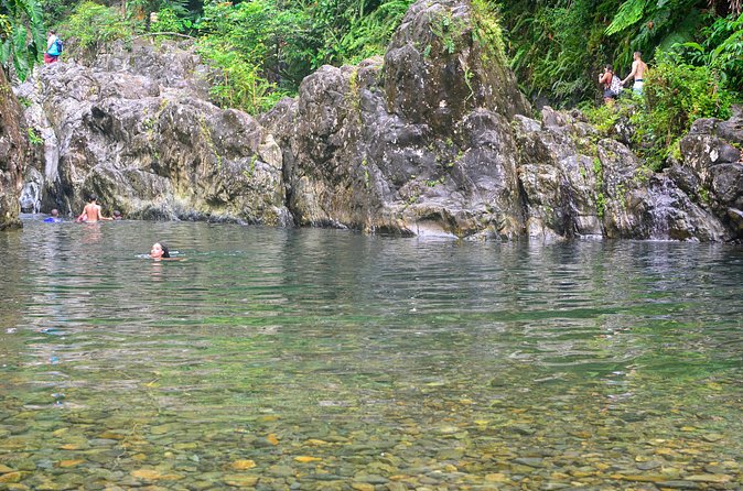 Small-Group El Yunque Rainforest Vivid Day Tour with Transport - The Second 15-Minute Walk To The Waterfall
