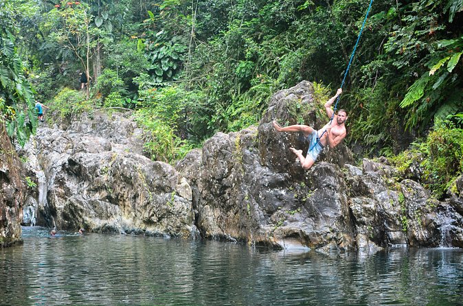 Small-Group El Yunque Rainforest Vivid Day Tour with Transport - Rock Slides, Rope Swings, And Cliff Jumps