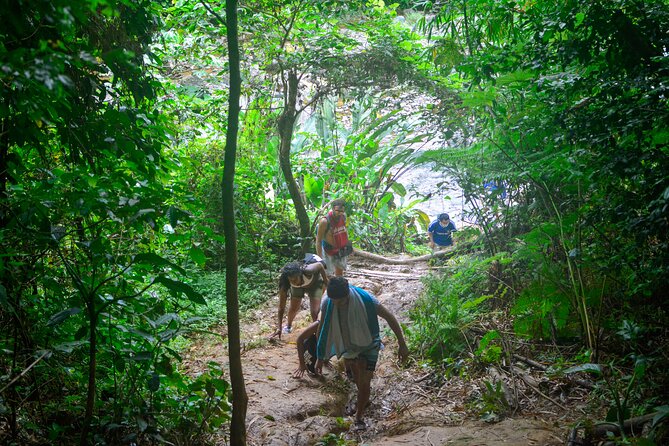 Small-Group El Yunque Rainforest Vivid Day Tour with Transport - Saturday Is Not The Same Route