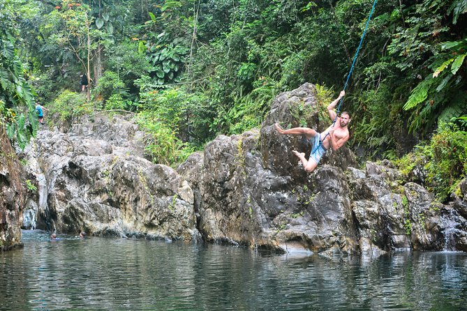 Small-Group El Yunque Rainforest Vivid Day Tour with Transport - Guide Quality Makes The Difference
