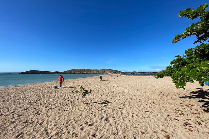 Small-Group North Coast Beach Hopping Adventure in Puerto Rico - Small Groups and the Guide’s Role