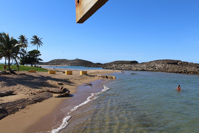 Small-Group North Coast Beach Hopping Adventure in Puerto Rico - What the $139.99 Price Really Buys